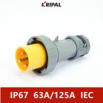 63A 125A IP67 Three Phase Waterproof European Industrial Plug 6H for sale