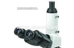 China Trinocular Head Metallurgical Laboratory Microscopes 40X - 400X A13.1022 supplier