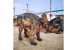 China Custom Realistic Adult Triceratops Dinosaur Costume For Two Performers supplier