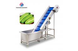 China Electric Vegetable Orange Pre - Foam Elevator Machine supplier