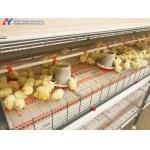 Chicken Raising Equipment Galvanized Steel H Type Poultry Cage Equipment For Layers for sale