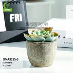 High Simulation 6.5cm Faux Succulent Plants , Small Fake Succulents Luxury for sale