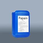 50TU/MG-1000TU/MG Papain From Papaya Food Grade Pharmaceutical Grade for sale