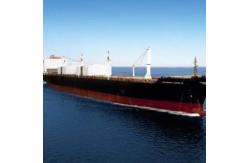 China Company Freight Forwarder And Shipping Agent Marine Prices From China To Philippines supplier