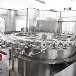 Water Rinsing Filling Capping 3 In 1 Monoblock Bottling Machine Full Automatic