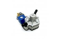 China Separated Gas And Water Circuit Autogas LPG Pressure Regulator 125W supplier
