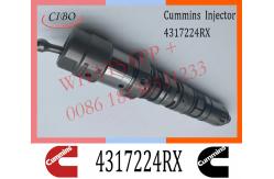 China Diesel Engine Fuel Injector 4317224RX 4317224 For Cummins QSK45 QSK60 Engine supplier