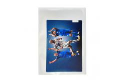 China Daqin Software Laptop Skin Making Machine That Cuts Stickers supplier