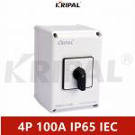 IP65 230V 440V 100A IEC standard Waterproof Rotary Cam Switch for sale