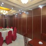 RTS Conference Room Movable Office Acoustic Folding Partitions Walls Divider Example Designs for sale