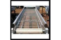 China Large Conveying Capacity Conveying Hoisting Machine Chain Conveyor supplier