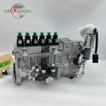 Fuel Injection Pump T73208219 for 1006TG3 1006TG Excavator