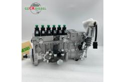 China Fuel Injection Pump T73208219 for 1006TG3 1006TG Excavator supplier
