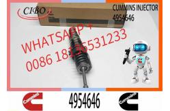 China Remanufactured High Quality Common Rail Diesel Fuel Injector 4954645 4954646 supplier