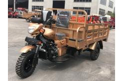 China 200cc 2m Cargo Motor Tricycle Manual Clutch Water Cooled Delivery Bike supplier