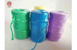 China High Breaking Strength 12KD-30KD Twisted Polypropylene Twine For Banana supplier