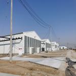 Automated Ventilation Steel Frame Chicken Coop Management Poultry House