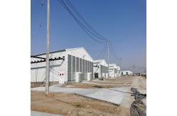 China Automated Ventilation Steel Frame Chicken Coop Management Poultry House supplier