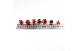 China Pomegranate liquid natural resin multi -faceted tablet game dice set dnd dice supplier