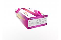 China In Vitro Pregnancy Rapid Test Kit supplier