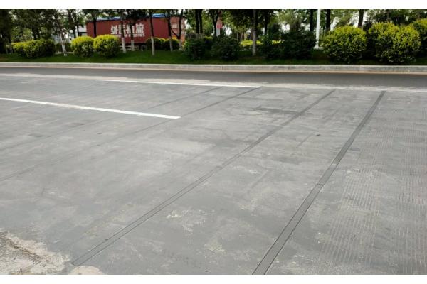 50Hz Weihgt In Motion Management System For Heavy Vehicle Axle Overload