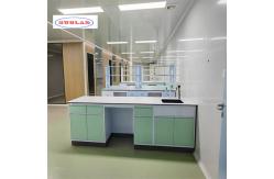 China Customizable Chemistry Lab Furniture with Modern Modular Structure supplier