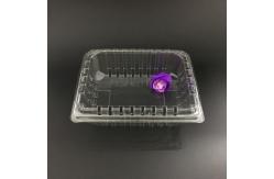 China Strawberry Plastic Packaging Boxes PET Clamshell Containers supplier