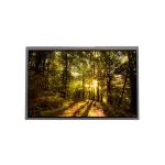 GV101WXM-N10 800*1280 10.1 inch  16.7M 0%NTSC LCD Screen for BOE for sale