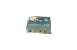 China TA060VVWM08-01 NEW 6.0 inch 1080*2160 OLED Panel lcd Display supplier