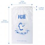 Recyclable Drawstring Ice Pack Bags For Food Storage Customizable for sale