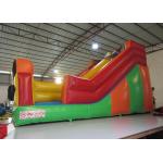 Funny Inflatable Clown Double Water Slide , Waterproof Standard Inflatable Dry Slide