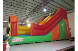 China Funny Inflatable Clown Double Water Slide , Waterproof Standard Inflatable Dry Slide supplier