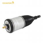 Front Air Suspension Strut For Dodge Ram 1500 13-20 4877146AA for sale