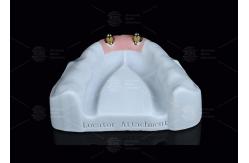 China Titanium Locator Dental Attachments For Overdentures In Silver And Gold Finish supplier