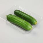 4.5cm Disposable Veggie Tray