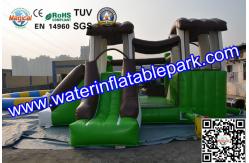 China Indoor and Outdoor Inflatable Bouncy Castle with Slide supplier