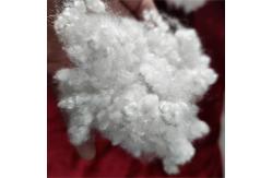 China Recycled Polyester Staple Fiber Factory High Elasticity And Short Length supplier