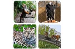 China High Strength Knotted Stainless Steel Rope Wire Mesh For Zoo Enclosure supplier