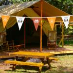 Triangle String Camping Flag Pull Flag Sky Curtain Campsite