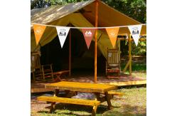 China Triangle String Camping Flag Pull Flag Sky Curtain Campsite supplier