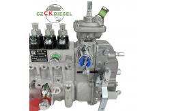 China Fuel Injection Pump 4994681 For 6BTA5.9-C130 Engine supplier