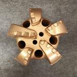 PDC Bit Body With PDC Cutters And API Connection For Water Well Drilling for sale