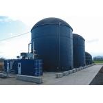 High Efficiency High Rate Anaerobic Reactor Long Service Life Good Stability for sale