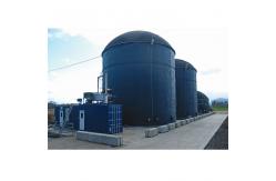 China High Efficiency High Rate Anaerobic Reactor Long Service Life Good Stability supplier