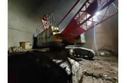 China Second Hand 75 Ton Used 2019 Crawler Crane With Low Energy Requirements supplier