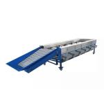 5-8 T / H  Pomegranate Kiwi Ellipse Fruit Sorting Machine for sale