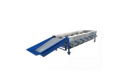 China 5-8 T / H  Pomegranate Kiwi Ellipse Fruit Sorting Machine supplier
