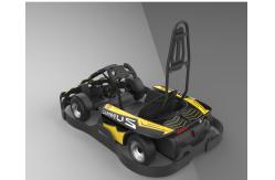 China OEM 2 Seater Adult Go Carts With Lock Adjustment Pedal supplier