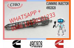 China QSK60 QSK45 Engine Fuel Injector 4954374 4326784 4326781 for Cummins supplier