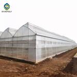 Large Double Arch 4.5m Multi Span Greenhouse Stable Structure Layer 0.15 Film for sale